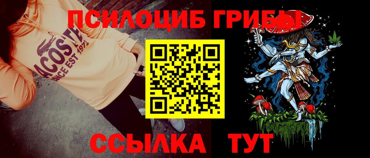 Галлюциногенные грибы Cubensis Амурск