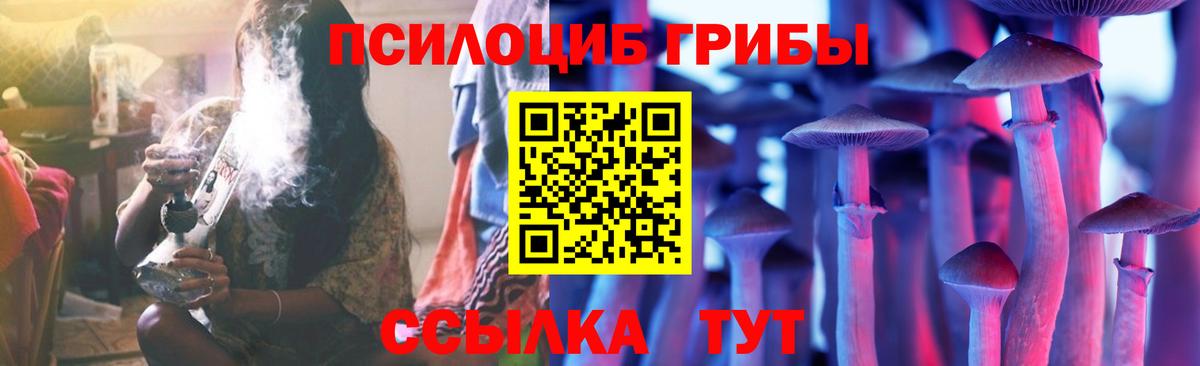 Галлюциногенные грибы мицелий  Вход с VPN  Амурск 